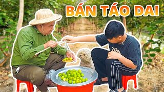 Trưởng Thôn Kiếm Thêm, Đi Bán Táo Dai Và Cái Kết | Sự Béo Vlogs