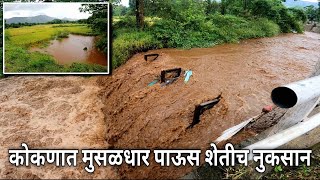 कोकणात पडतोय मुसळधार पाऊस⛈️, नदीला आला पूर, पाण्याच रौद्र रूप🌊 भात शेतीच नुकसान😥