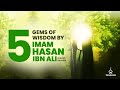 5 Gems of Wisdom By Imam Hasan Ibn Ali (alaihis salaam)