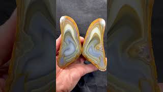 দ্বীপ এগেট প্রজাপতি। #agates #agate #crystals #naturalagate #rock #gemstone #nature #photography