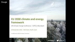 European Union/IEEP: EU 2030 climate and energy framework