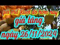 giá mít hôm nay ngày 26/11/2024