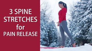 3 Absolute Best Exercises for Low Back Pain | SIJ , Facet Syndrome Mobilization , Lumbar Pain