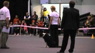 WC obedience 2010 Herning - Best Of