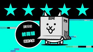 【貓咪大戰爭】新貓候選人：紙箱貓