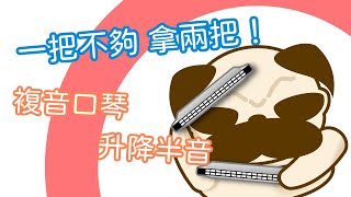 【口袋琴房】 一把琴不夠用，那就拿兩把！複音口琴的升降半音及口琴換把