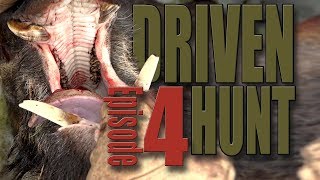 DRIVEN HUNT EPISODE 4 - 2 days for wild boar \u0026 deer - Drückjagd - Drevjakt