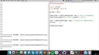 84- Easy Python Programming Label Frame