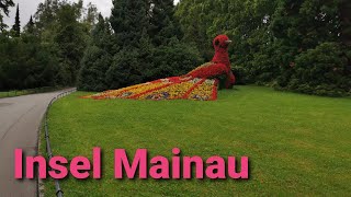 The Beauty of Insel Mainau Flower Island