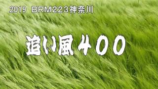 ブルベ　BRM223神奈川  追い風400（ロードバイク名古屋→逗子）