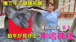 極彩色 Saiko’s Vlog ー牛嶋神社＃２－ Ushijima jinja ＃２－