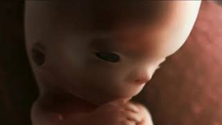L’evoluzione della vita umana dal primo concepimento al parto. Questo  fa ricred