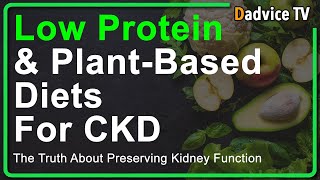 Kidney Disease Low Protein Diet vs Plant based diet to preserve kidney function