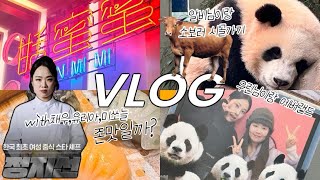 VLOG 흑백요리사 티엔미미 방문기🥟우린님과 판다보러 에버랜드🐼알비님이랑 유알비카페가기 시골체험(?) (feat.아누아 결쿠션) 일상브이로그ㅣ알라