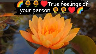 ♥️True feelings of your person♥️#tarot #love #twinflame #healing #spiritual #astrology #tarotreading