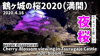 【会津散歩】鶴ヶ城の桜2020（満開）🌸最後は感動するかも⁉︎ Cherry-Blossom viewing in Tsurugajo Castle （full-bloom）