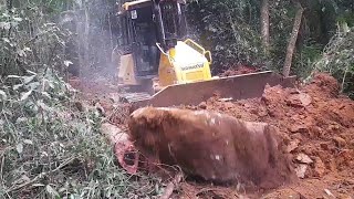 trator de esteira cortando material em mata abrindo estrada arrancando toco!!