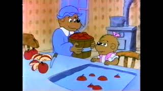 Berenstain Bears VHS \