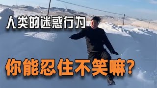 「每日一笑，拒绝烦恼」盘点人类的迷惑行为