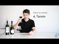 Tasting tannins in wine... how to do it, and what to match them with | Intro to wine/6