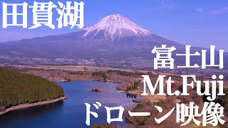 田貫湖 ドローン映像 Lake Tanuki Drone video