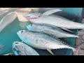 Live 11 Aug 24 ‼️🔥 Cutting fresh yellowfin tuna by skilled hands at Sorong market,Papua Barat Daya