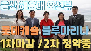 10월 울산롯데캐슬블루마리나 인기1순위 럭셔리하고 아름다운 현장을 소개합니다. 현재 1차마감 2차 청약중!! 앞으로 울산의 해운대가 될곳!! 뜨거운 현장