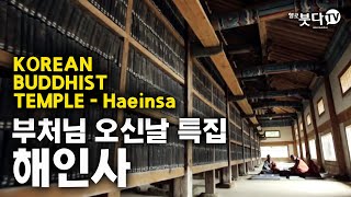 부처님 오신날 특집 해인사 한국의 전통사찰 KOREAN BUDDHIST TEMPLE, Haeinsa | 석가모니 부처님 부처님 사리 사찰여행 추천여행 불교 힐링여행