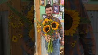 Making summer bouquets #sunflower #sunflowerfields #wildflowers #bouquet