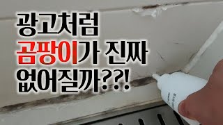 정말 광고처럼 곰팡이가 없어질까?!!?!! 곰팡이제거제 리뷰