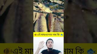 মাছ গুলোর নাম কি 😱 #ভাইরাল #facts #মাছ #reels #reelsfb #reelsvideo #cricket #robloxfunny