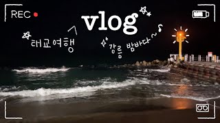 [임산부VLOG] 29주차 강릉 태교여행💛 | 갤러리밥스 초당옥수수커피🌽 | 강릉빵다방 인절미크림빵😋 | 유리알유희✨| 세인트존스 호텔