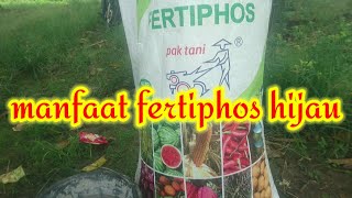 penjelasan pupuk fertiphos dari saprotan utama #fertiphos #saprotanutama