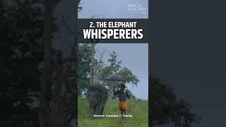 India's Oscar Hopes: RRR | All That Breathes | The Elephant Whisperers