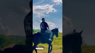 Mohamed Youssef ridding a horse 🐎 #محمد_يوسف #trip #horse #riding #....