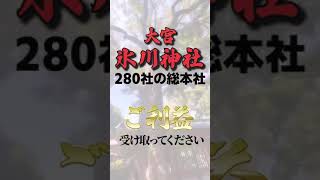 【パワースポット 大宮氷川神社】皆様に最高のパワーが宿るようにお願いして参りました。#shorts  #パワースポット