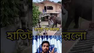 হাতির কান্ডটি দেখুন 🤣🤣 #ytshorts #shorts #viralvideos