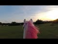 Don't miss our latest vlog!!! HAVE YOU EVER RIDDEN A PINK PONY!?