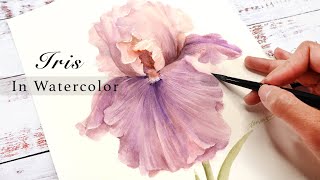 How To Paint A Pink Iris In Watercolor