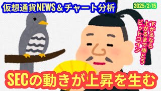 【SECの動きによる上昇に期待感！】本日の相場分析は「BTC・ETH・OM・ONDO・XLM・XTZ・DOGE・他アルトコイン4種」2025/2/15