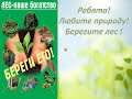 Зеленый щит земли лес Леса Северной Осетии