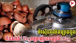 ម៉ាស៊ីនផលិតប្រេងដូង កិនសាច់15kgចម្រាញ់បានប្រេង10kg | កម្មវិធីកសិកម្ម