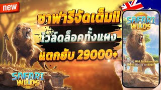 เกมสล็อต สูตรสล็อต ทดลองเล่นสล็อต 🎮 Safari Wilds : เกมซาฟารีสุดจัด