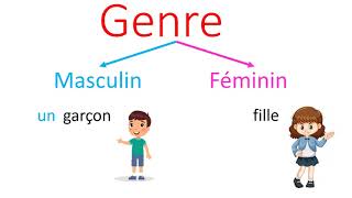 Grammaire : Le genre du nom / masculin et féminin CP / CE1