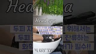 염색 후 두피관리를 해야하는 이유 #헤드스파 #일산두피관리 #일산헤드스파 #모에드