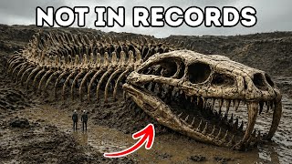 Discovered Paleontologists Found Something That Breaks Classification