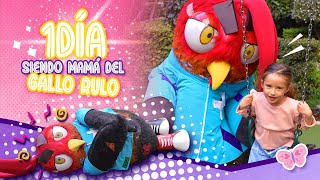 Saritah Bebe cuida al gallo rulo por 24 horas y  Jugando a ser Mama