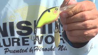 Nishine Lure Works Chippawa DD Blade Crank Bait