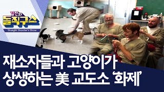 재소자들과 고양이가 상생하는 美 교도소 ‘화제’ | 김진의 돌직구쇼