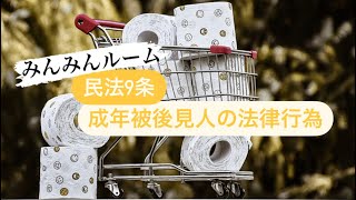 日用品の購入は取り消せない。民法9条(成年被後見人の法律行為)【みんみんルーム】